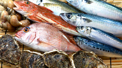 瀬戸内海の豊富な前どれの魚